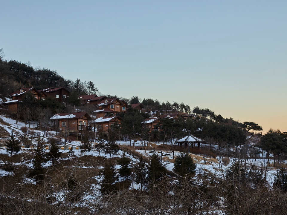 설경을 볼 수 있는 경북 영주 국립산림치유원