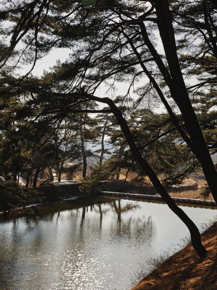 경북 영주 소수서원과 선비촌