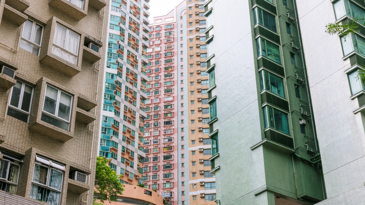 Discover the Cultural Heritage of Hong Kong — A Journey to the Roots of Its Culture