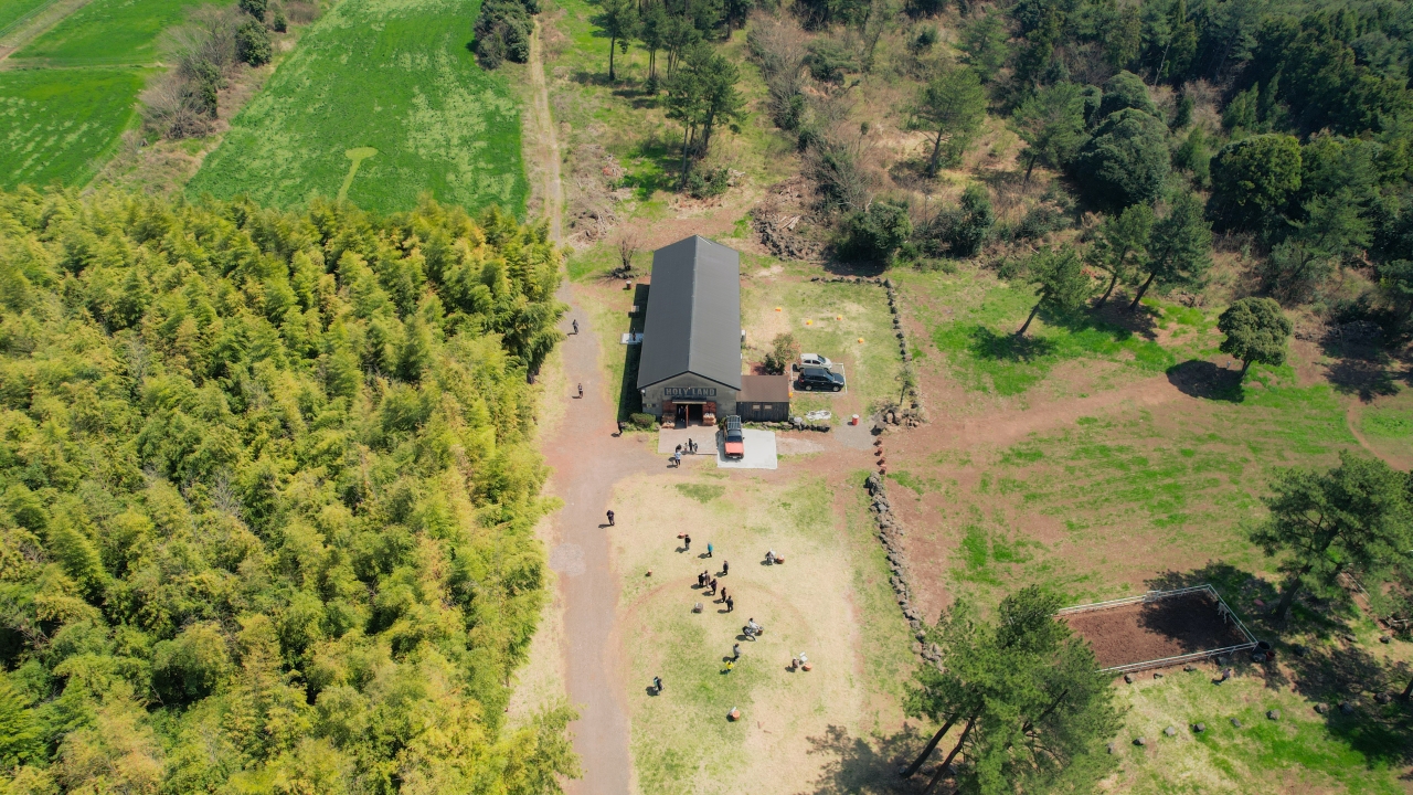 All We Imagine as Journey — Everything We Imagine Travel to Be, Daehan Ranch in Jeju