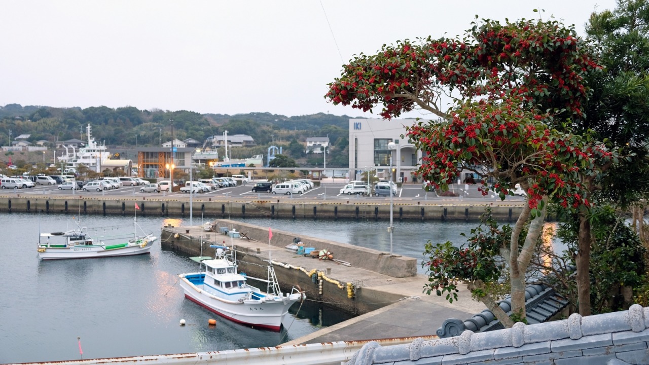 Day Trip to Iki Island — An Island of Great Scenery and Great Food, Recommended Stops from Fukuoka