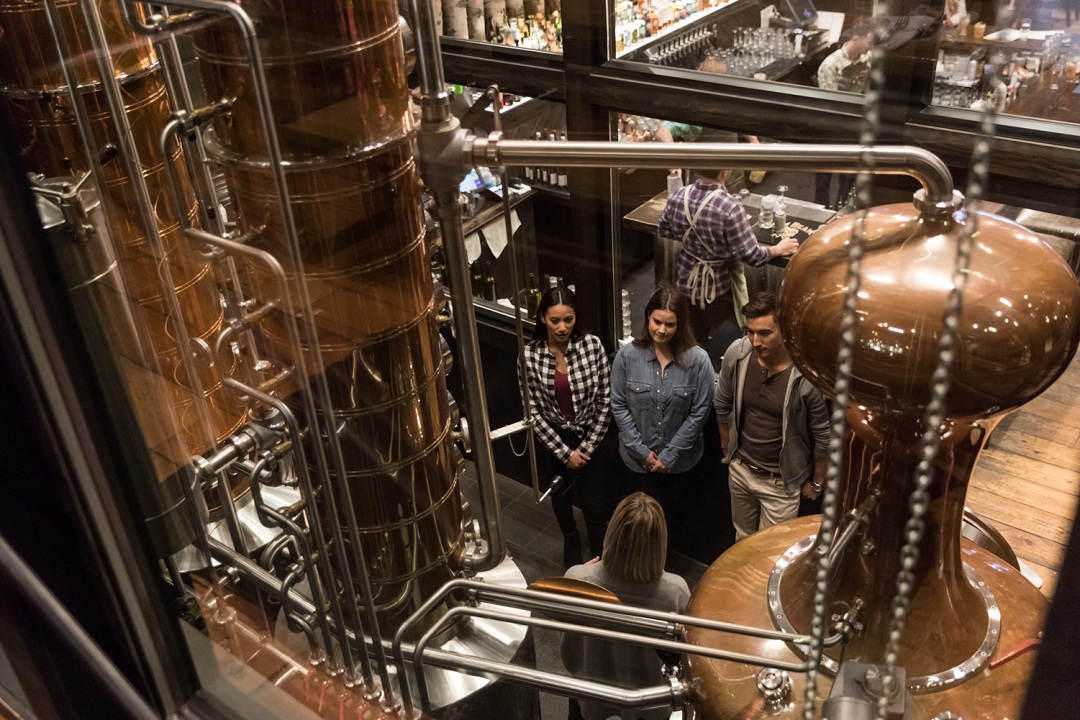 Gin blending workshop and distillery tour at PARK Distillery, the only distillery in Banff National Park