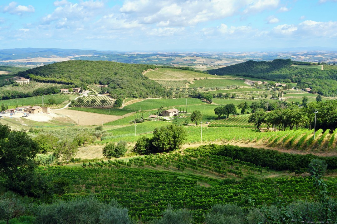 Montalcino