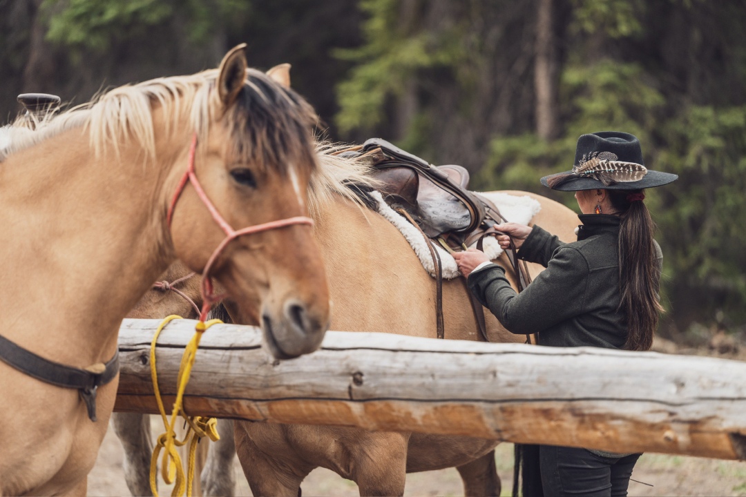 Northern Nomad Outdoors