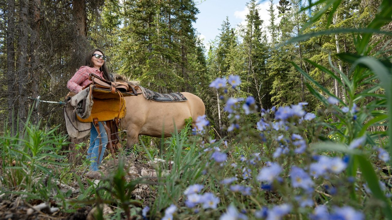 Wellness Retreats in Yukon, Canada — Chasing the Aurora at the Top of Canada