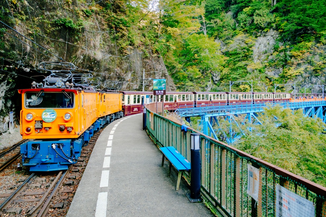 쿠로베 협곡 도롯코 열차
