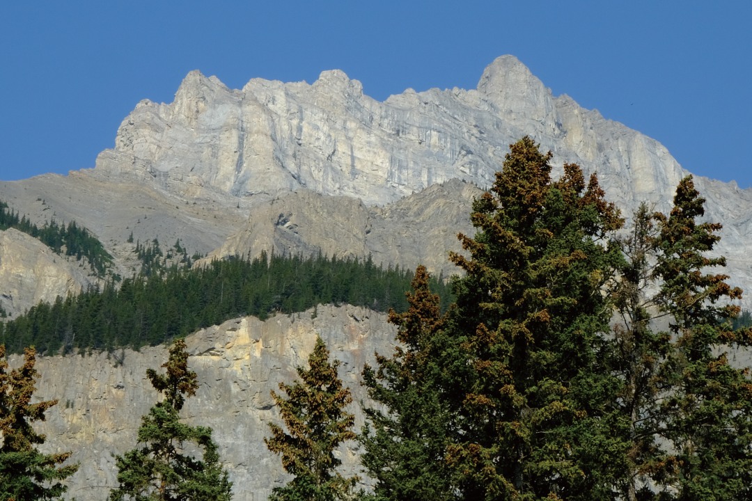 Mahikan Trail, an experience program near Banff