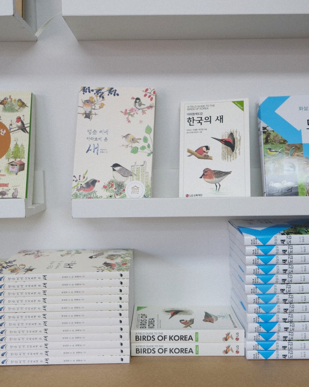 수원에 자리한 서점 탐조책방