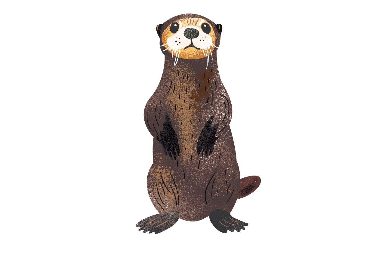 Otter in Muju, otter exhibit at Bandi Land
