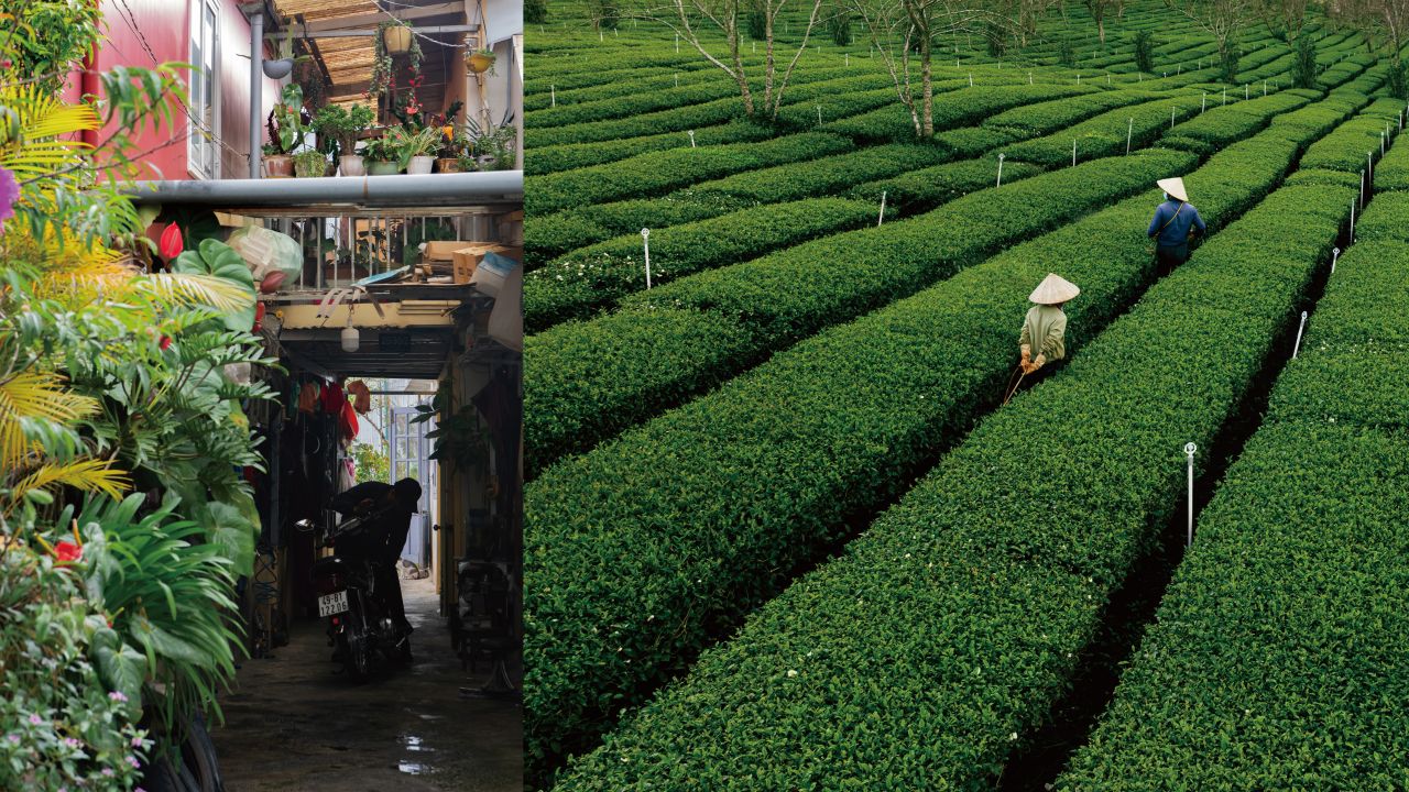 A Road Trip to Da Lat in Search of Viet Nam’s Heritage, Part 1 — Da Lat