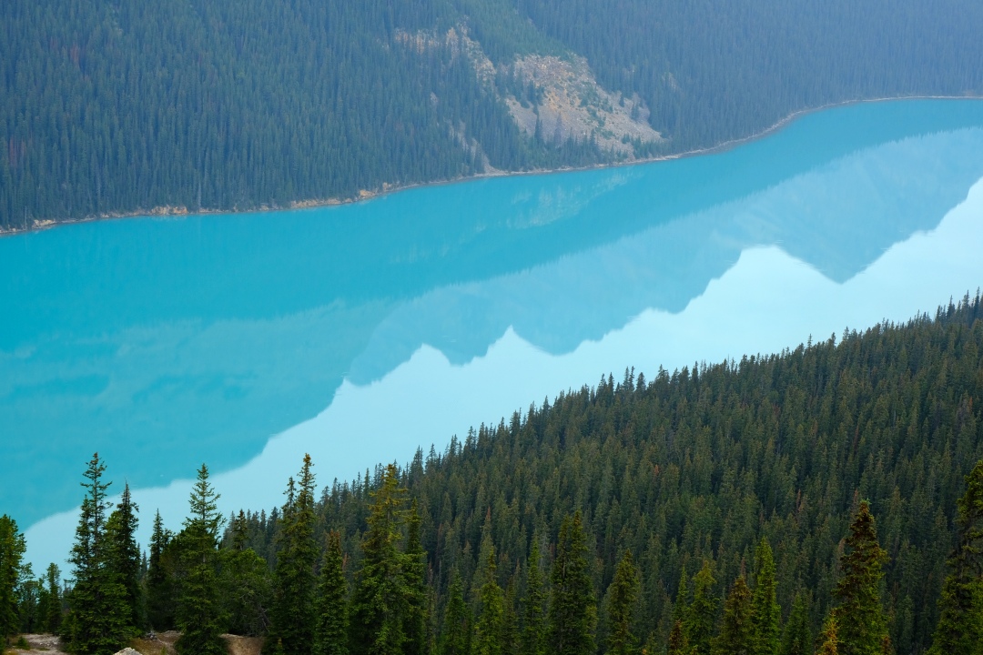 Peyto Lake, Alberta, Canada