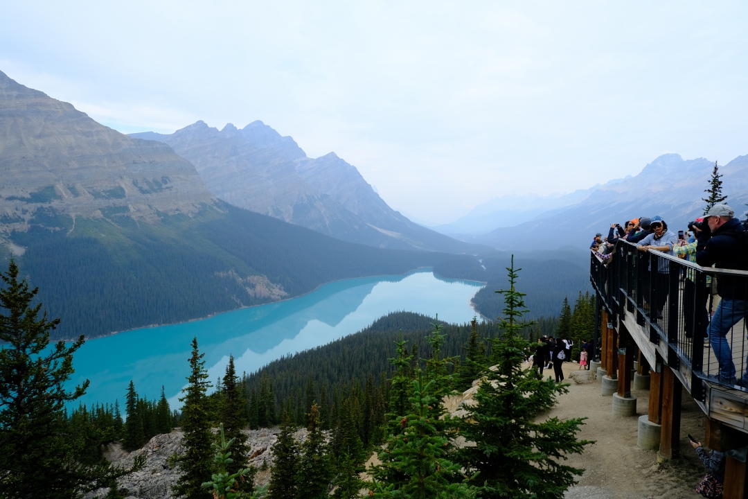 Peyto Lake, Alberta, Canada