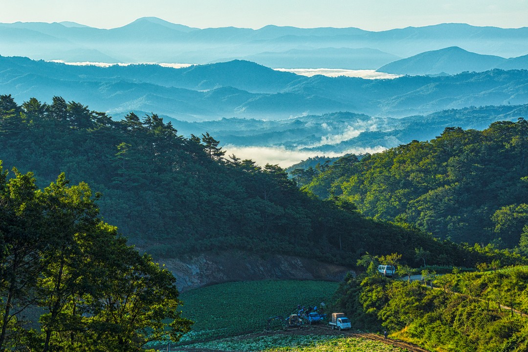 강릉시 왕산면 대기리, 2015. 9