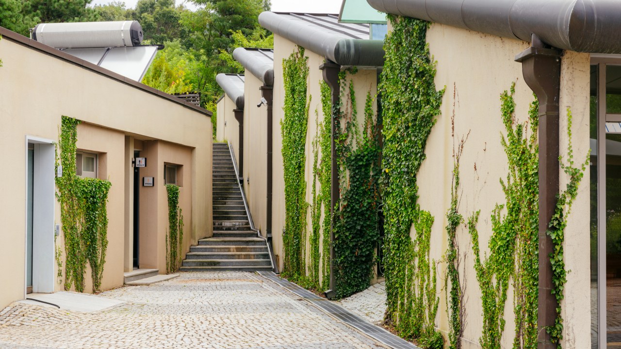 Where Daily Life Meets Nature — Everyday Architecture in Muju