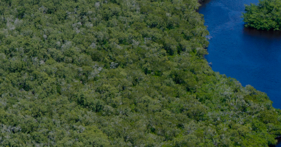 COP30에서 드러난 새로운 불평등...한국, 정의로운 전환·교육·사회적 대화구조 가장 취약