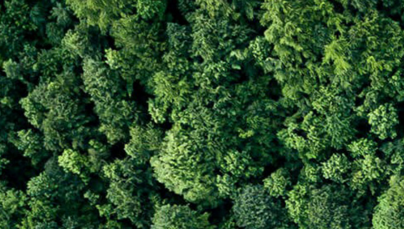 한국형 녹색분류체계 전면 개편...기업·금융권 전략 재편 불가피