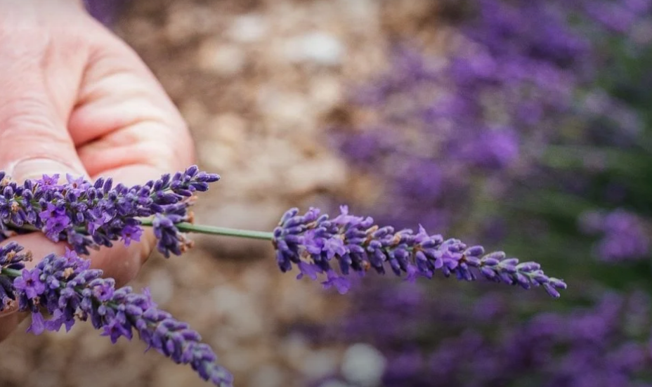 로레알의 1억 유로 실험…지속가능 혁신이란