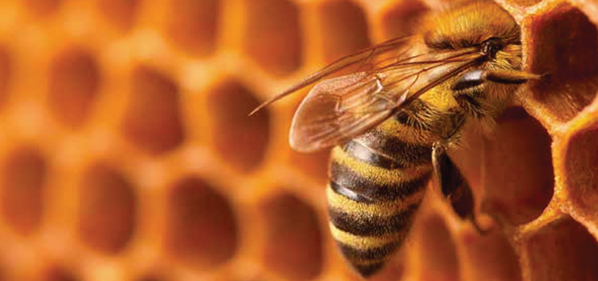 ESG 공시, ‘자연자본’으로 확장…기업 재무리스크 재편 신호탄