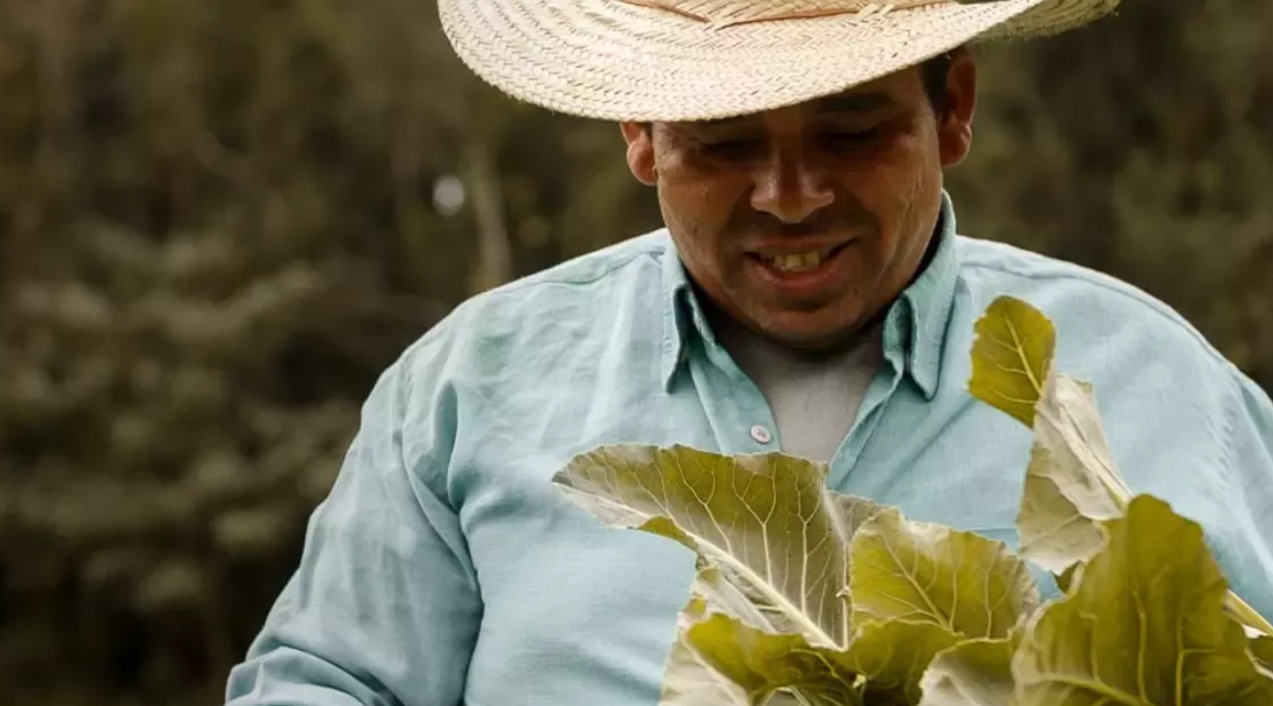 네슬레, ILO와 손잡고 중남미 커피 공급망 노동권 강화 나선다