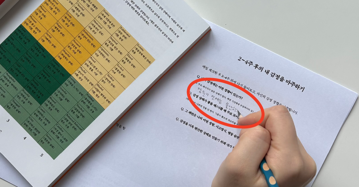 🔖 방치된 감정에 말을 거는 법