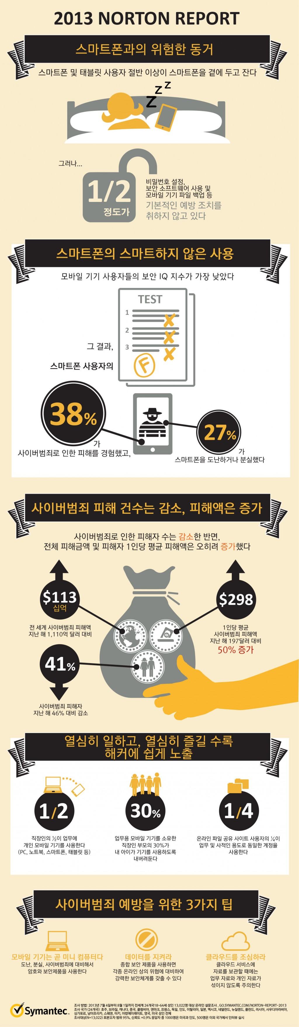 2013 Norton Report 인포그래픽