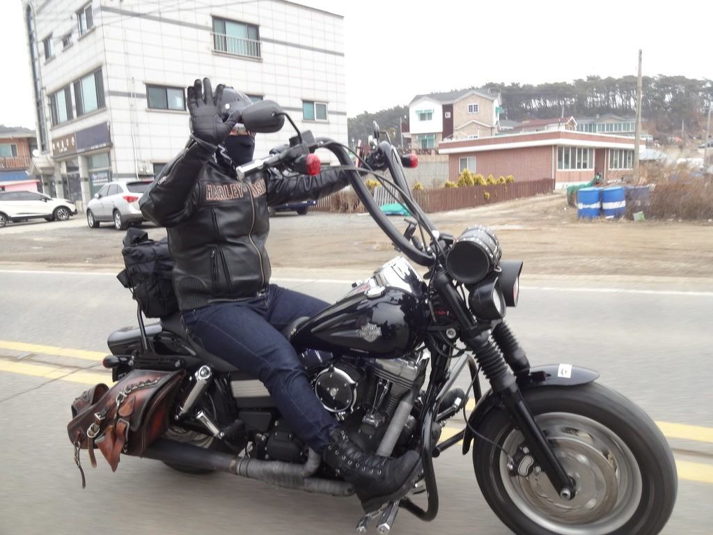 [아바타여행] 30일 간의 할리 전국투어 10일차 (보성여관에서 여수까지)