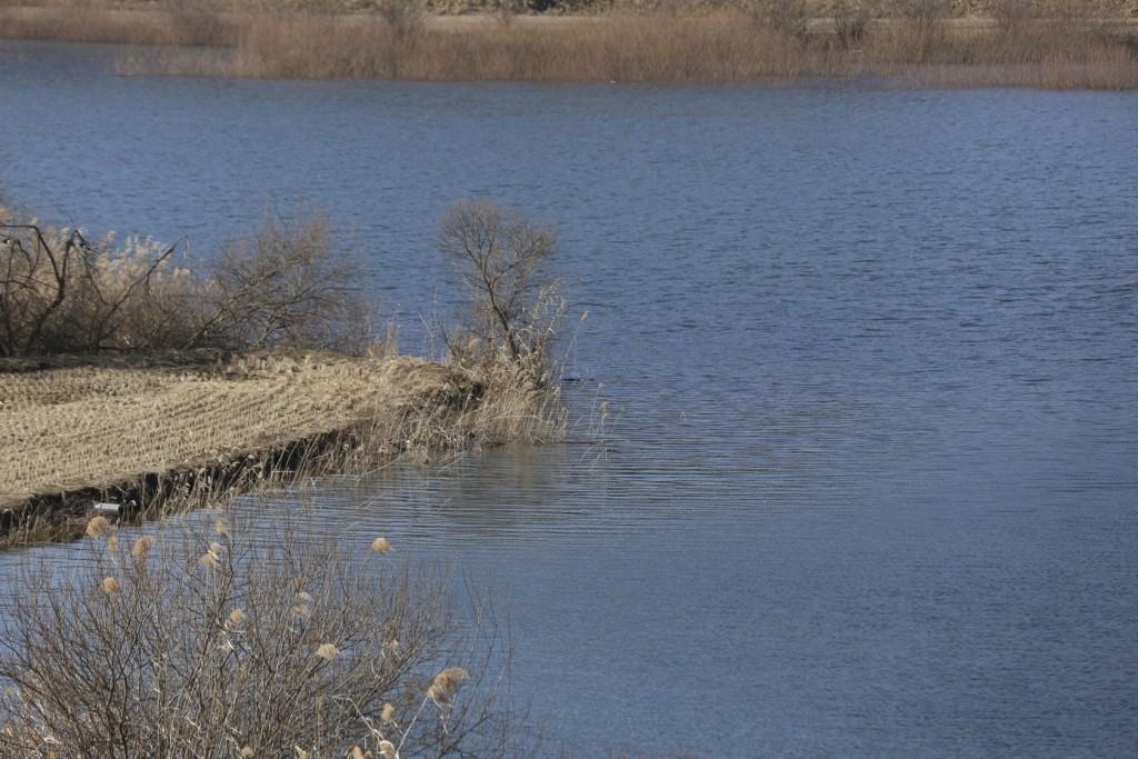 [아바타여행] 30일 간의 할리 전국투어 1일차…인천--&gt;전북 격포해변