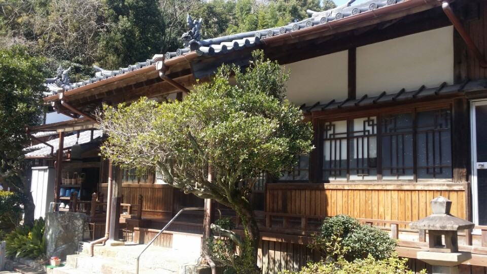 [아바타여행] 30일 간의 할리 전국투어 17일차 (대마도 1부)