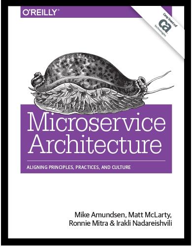 CA API 아카데미, 마이크로서비스 활용 지침서 발표