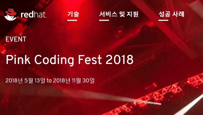 핑크 코딩 페스트 2018…레드햇, "여성 개발자 성장 지원"