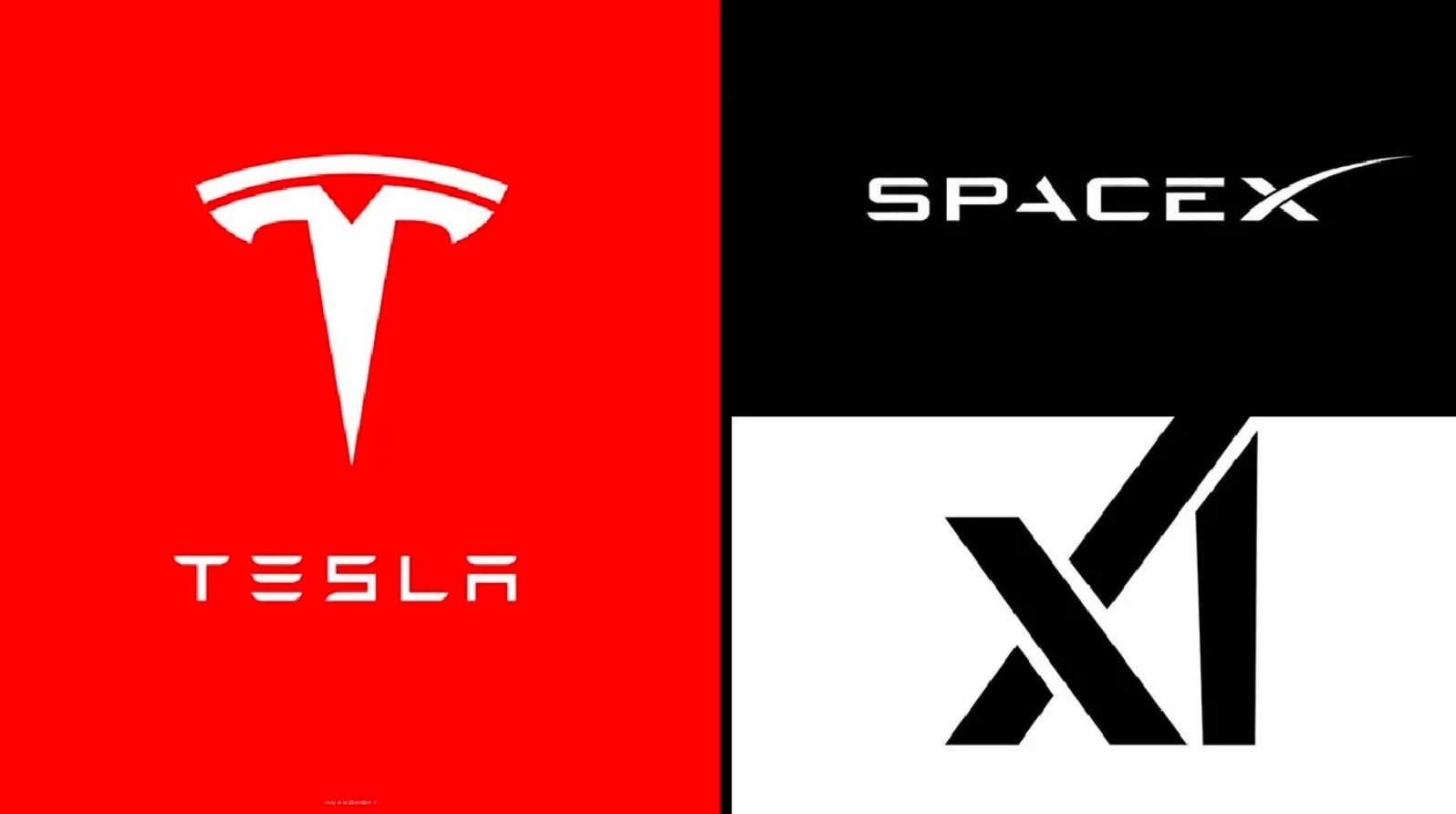 스페이스X 상장 앞두고…테슬라 지분 이동의 숨은 의미