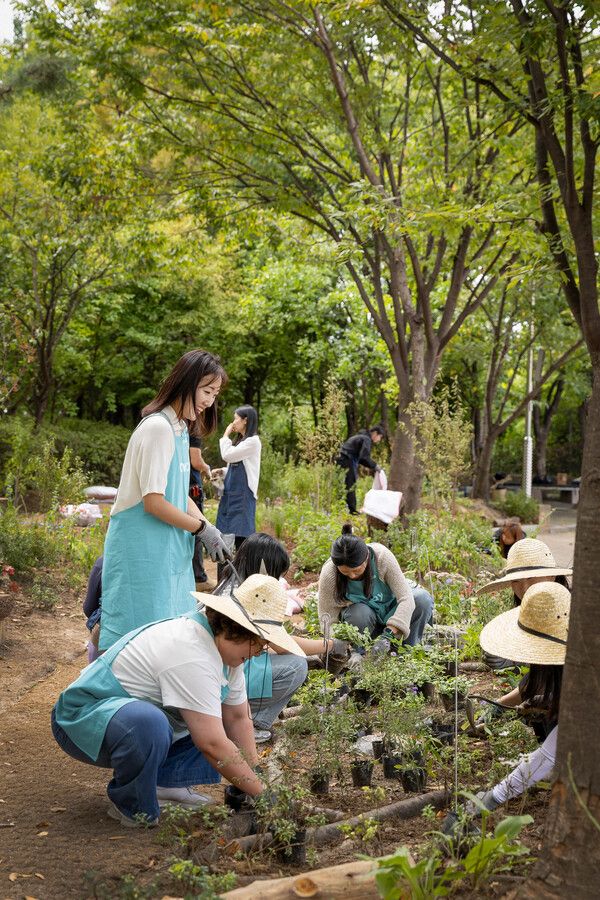 코웨이, 방화초에 ‘생태숲 2호’…아이들과 멸종위기 식물 가꾸며 배운다