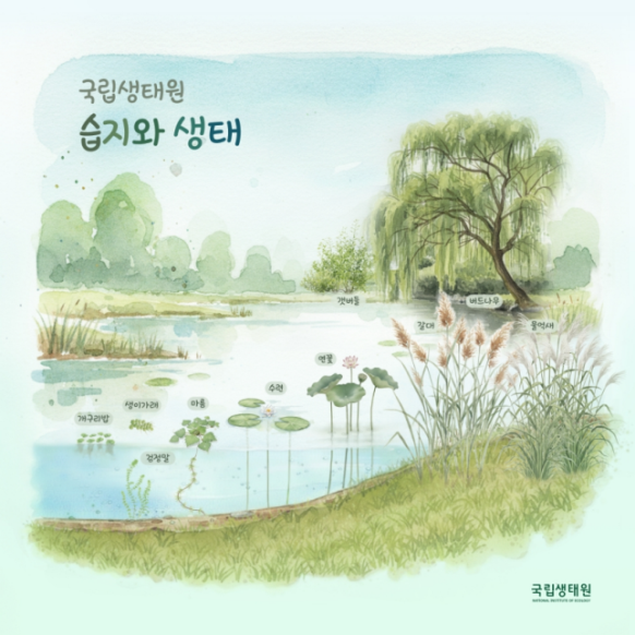 물과 생명이 숨 쉬는 땅, 습지에서 즐기는 가을 나들이