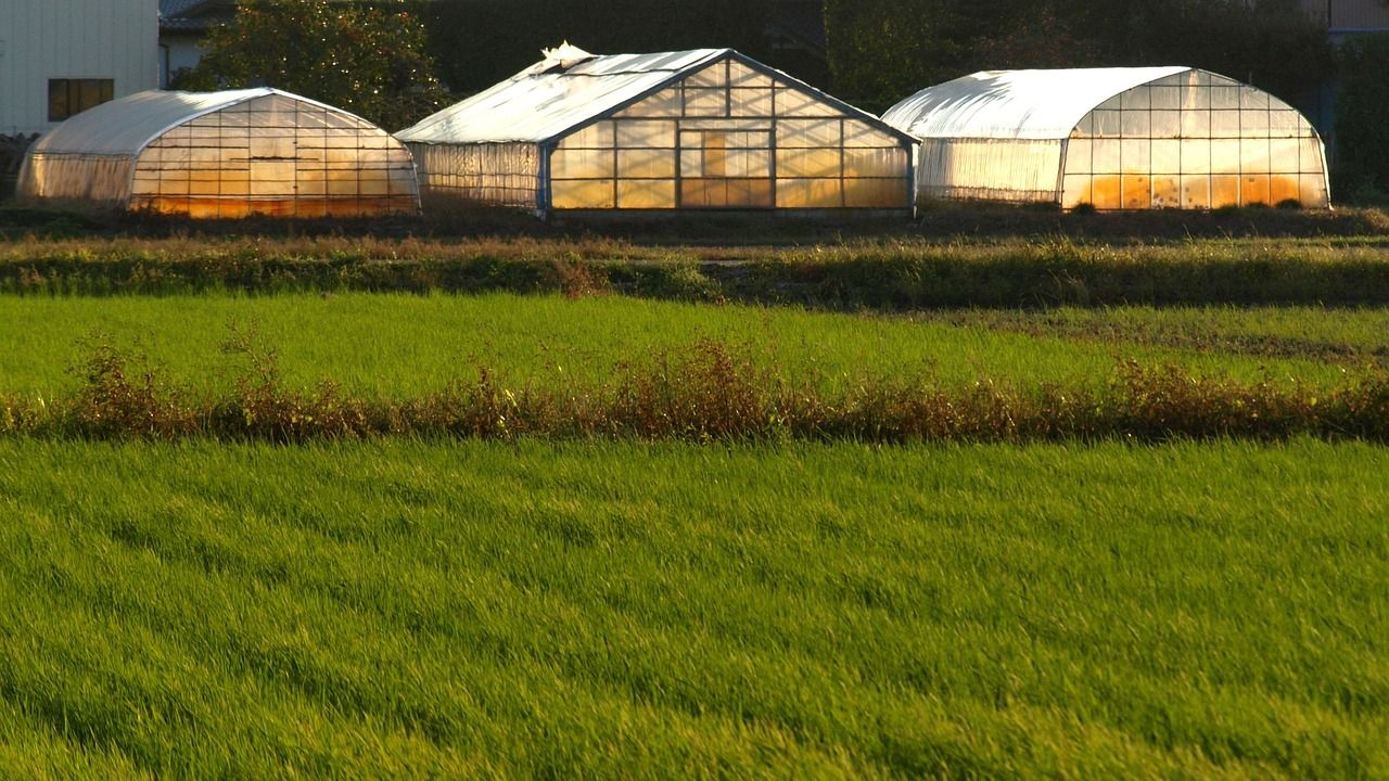 농사 비닐·농약병, 생활쓰레기 아닌 ‘사업장폐기물’로 봐야