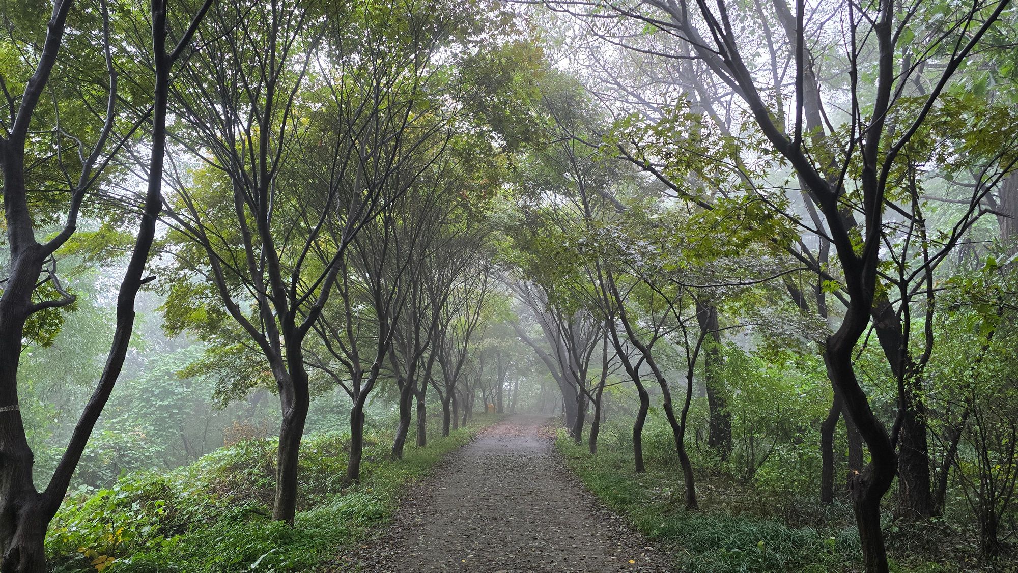 지구온난화가 만든 ‘10월 장마’… 한 달 강수량, 평년의 3.5배