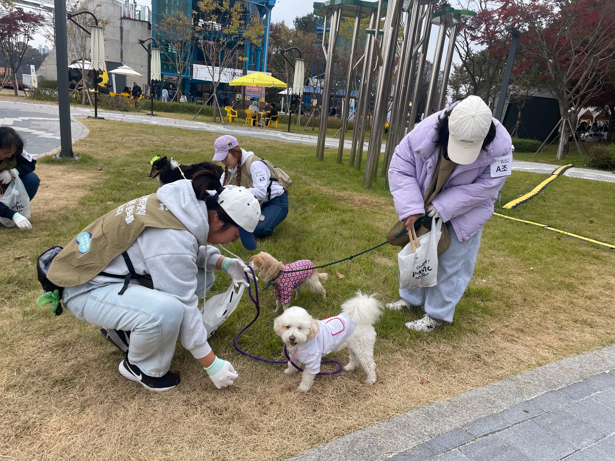 경기도 ‘펫리더스 봉사단’ 출범… 유기동물 입양·환경정화 함께 나섰다