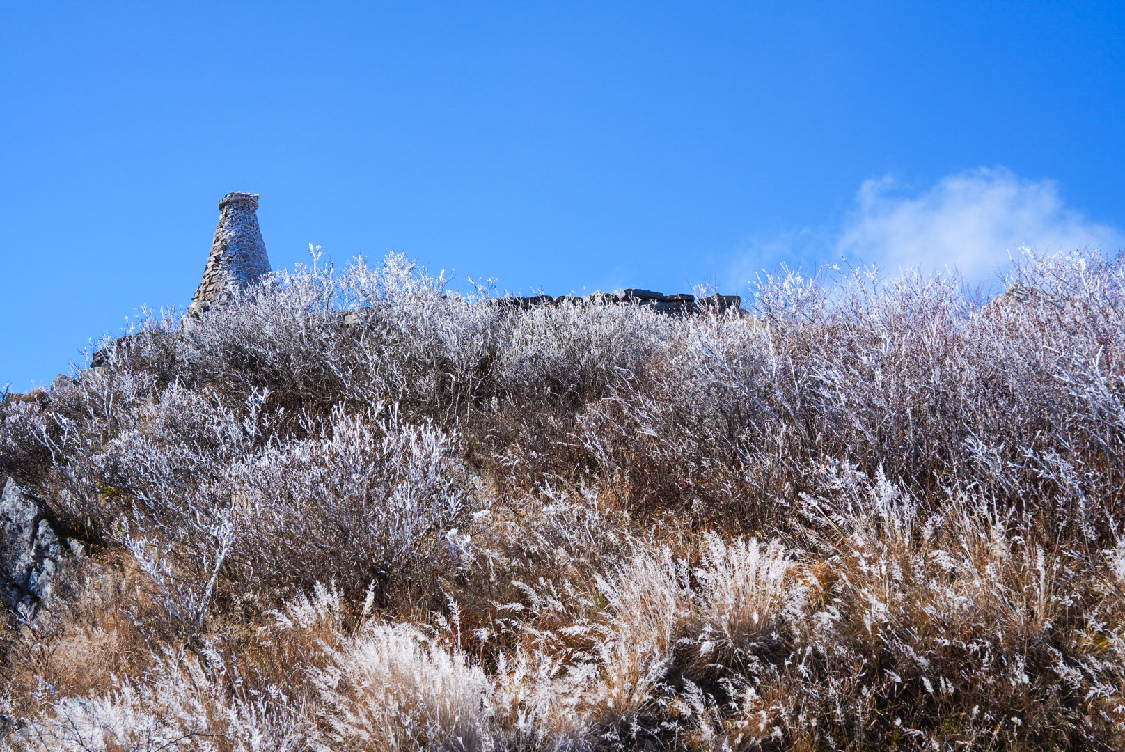 태백산에 얼음꽃 피었다… 첫 상고대 관측
