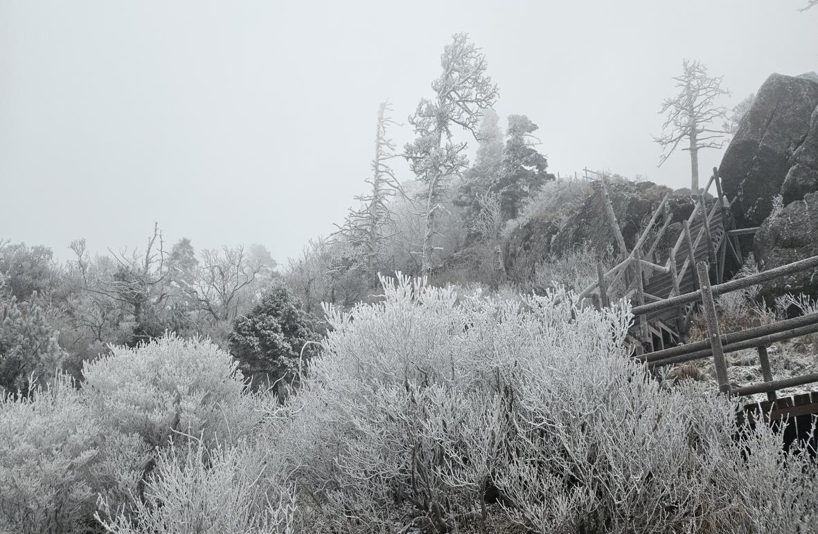 1,400m 고지대 1~5cm 적설…지리산 겨울 문 열렸다
