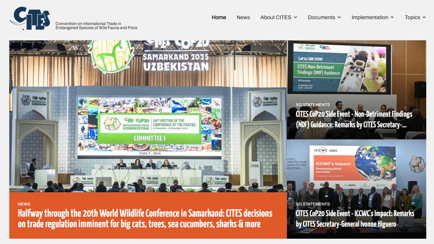 세계 야생동식물 회의 마무리…‘뱀장어·브라질나무·고래상어’ 새 규제 정해져