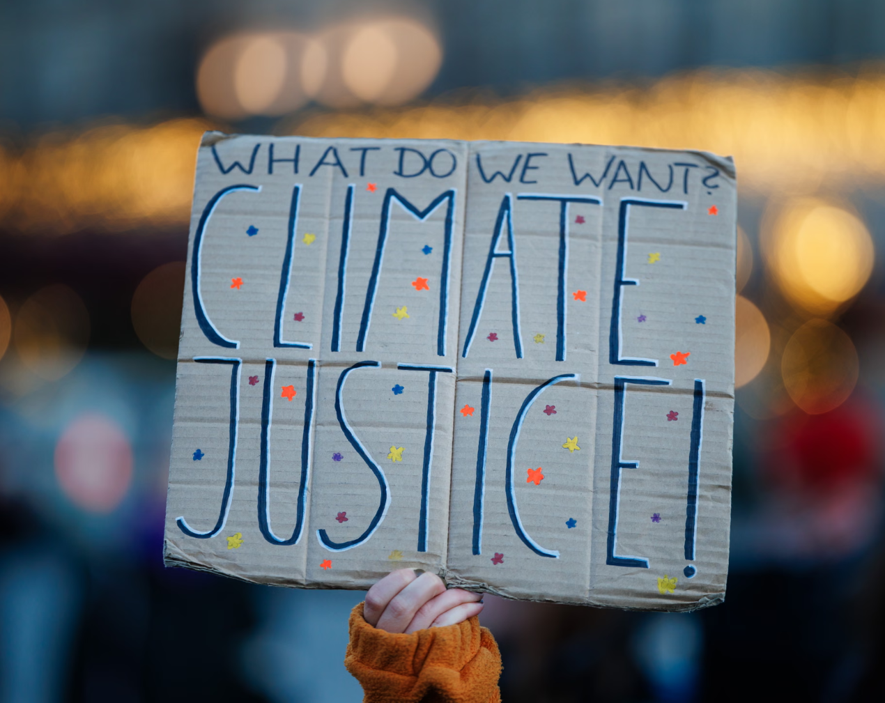 그린워싱, 법정에서 제동 걸렸다…기후 소송이 정책을 멈췄다