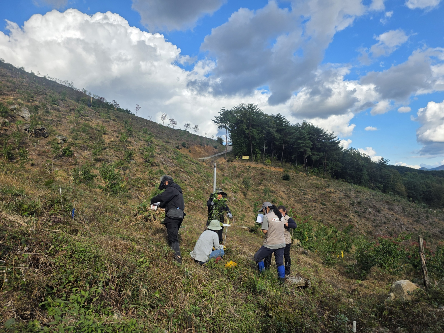 강원 산림, ‘보존’에서 ‘소득’으로…산림바이오 산업화 본격화