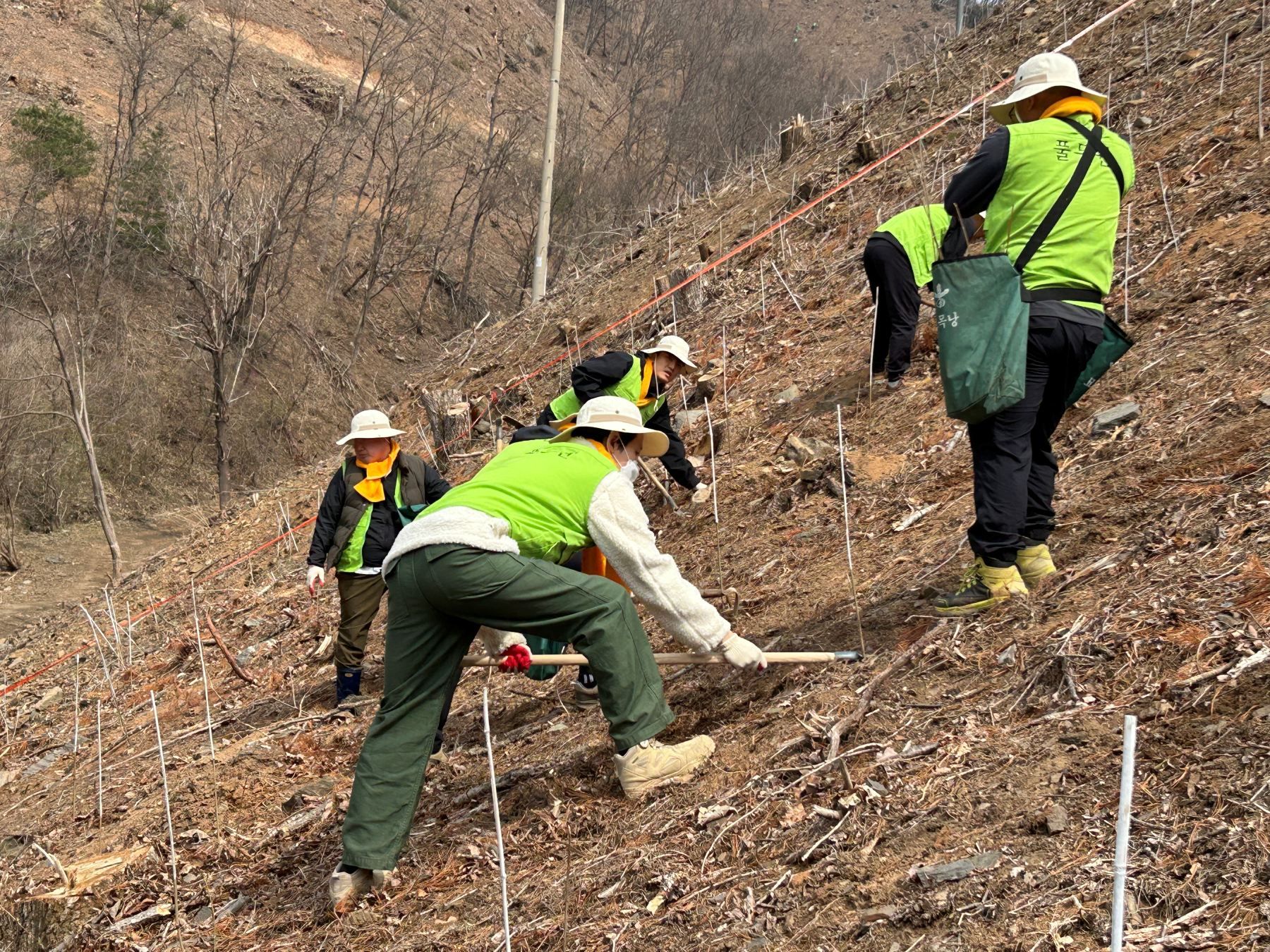 풀무원, 식목일 맞아 4200그루 식재…“민관 협력으로 숲 복원”