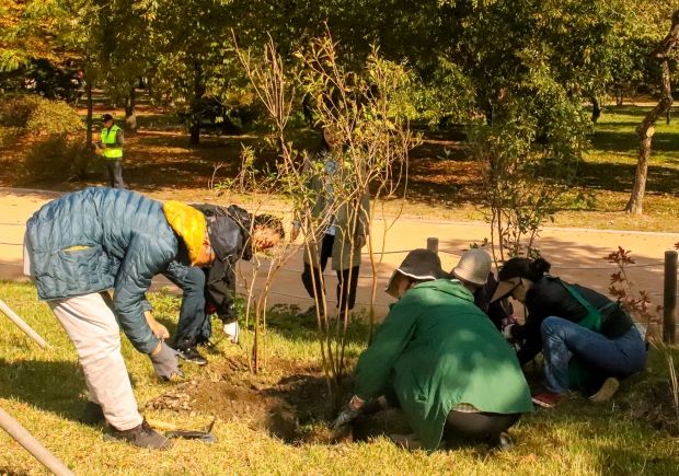 KB국민은행, 창경궁에 ‘궁궐숲’ 2860㎡ 조성…도심 생태 복원 모델 주목