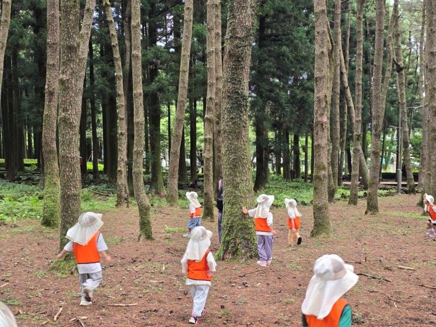 제주 아이들 숲으로 몰렸다…식물행성 산림치유 프로그램 ‘조기 마감’